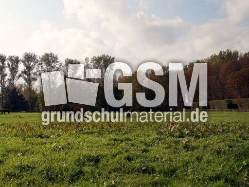 B-Herbststimmung 012.jpg